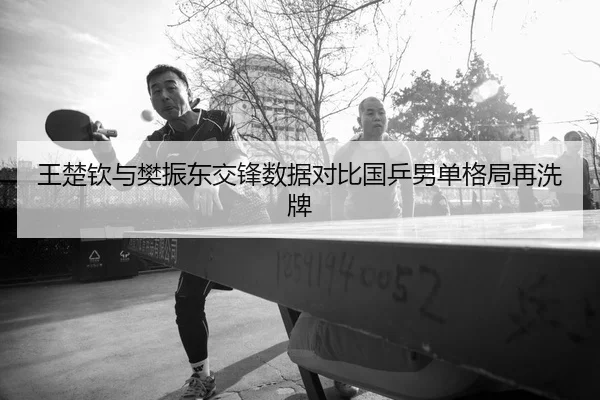 王楚钦与樊振东交锋数据对比国乒男单格局再洗牌